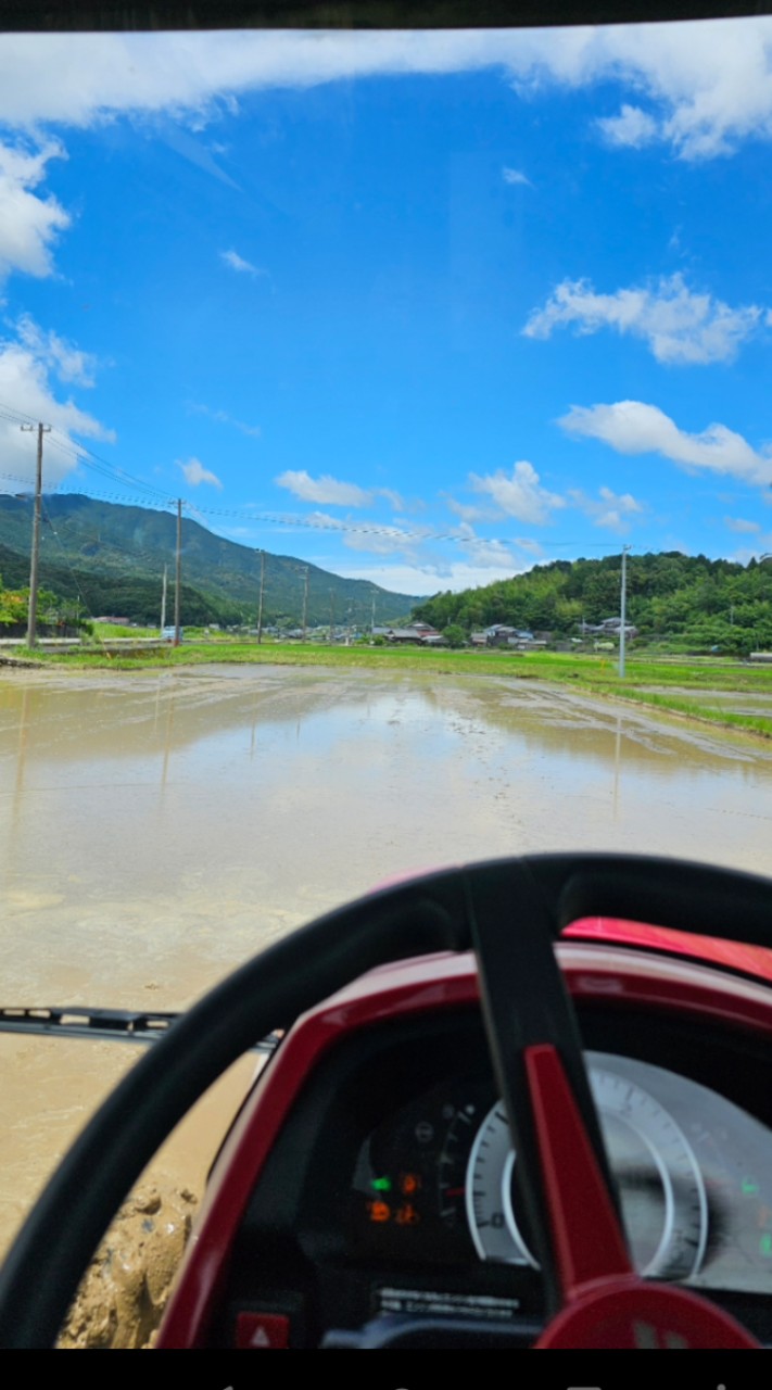 愛媛の米農家🚨発言禁止🚨