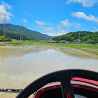 愛媛の米農家🚨発言禁止🚨