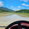 愛媛の米農家🚨発言禁止🚨