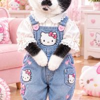 にゃんこ大好き雑談部屋🍒🐱