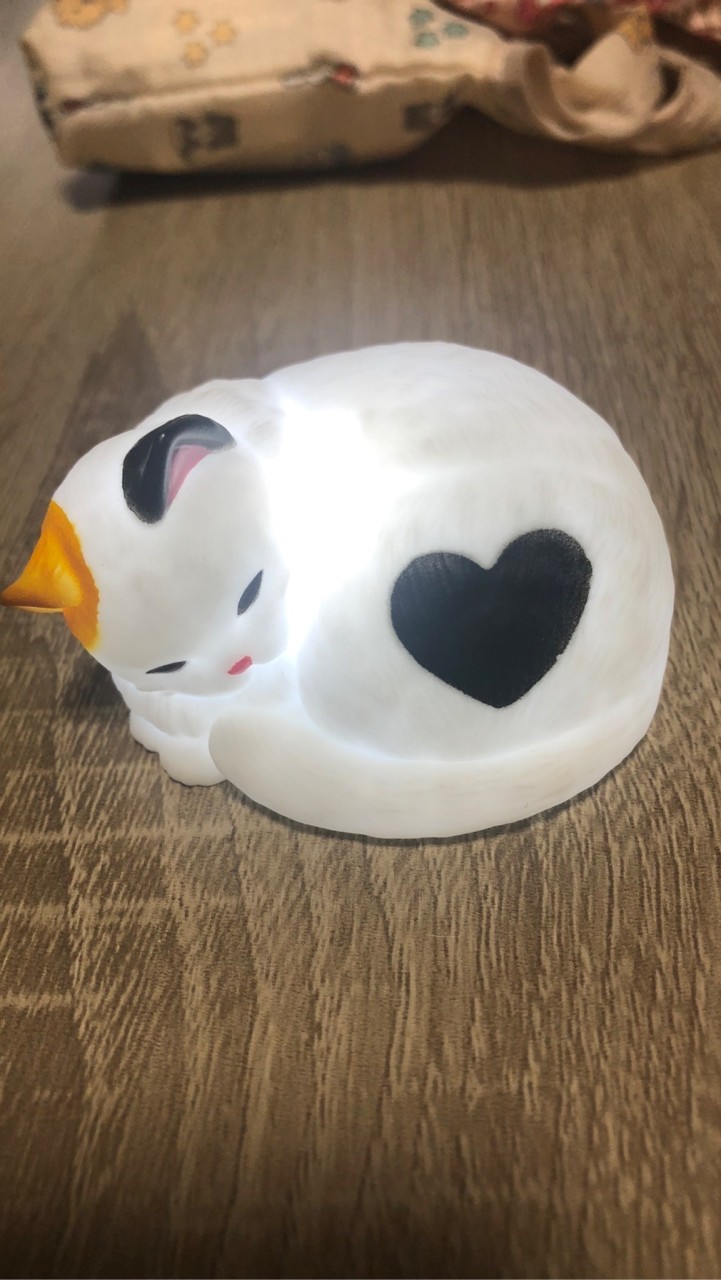 にゃんこ大好き雑談部屋🍒🐱