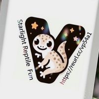 星光🌟爬寵選品社 其他是詐騙