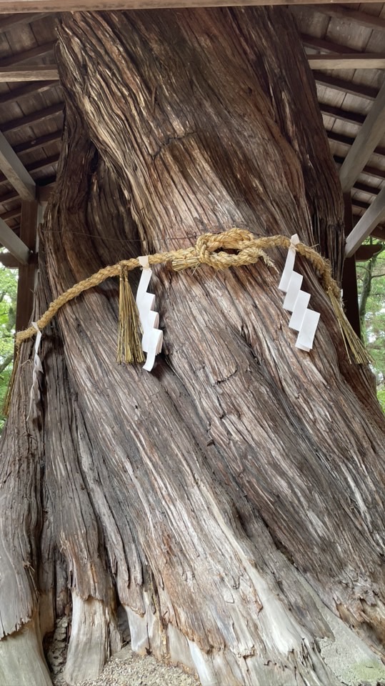 枚岡神社　むすひ会