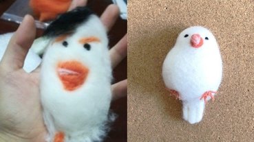 理想與現實的差別！網友們買了超可愛的白文鳥材料包回家，做完成品一個比一個還淒慘⋯