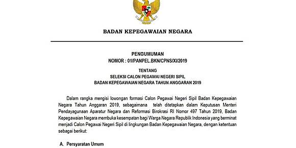 Bkn Buka 84 Formasi Cpns 2019 Untuk Pusat Ini Rinciannya Kompas Com Line Today