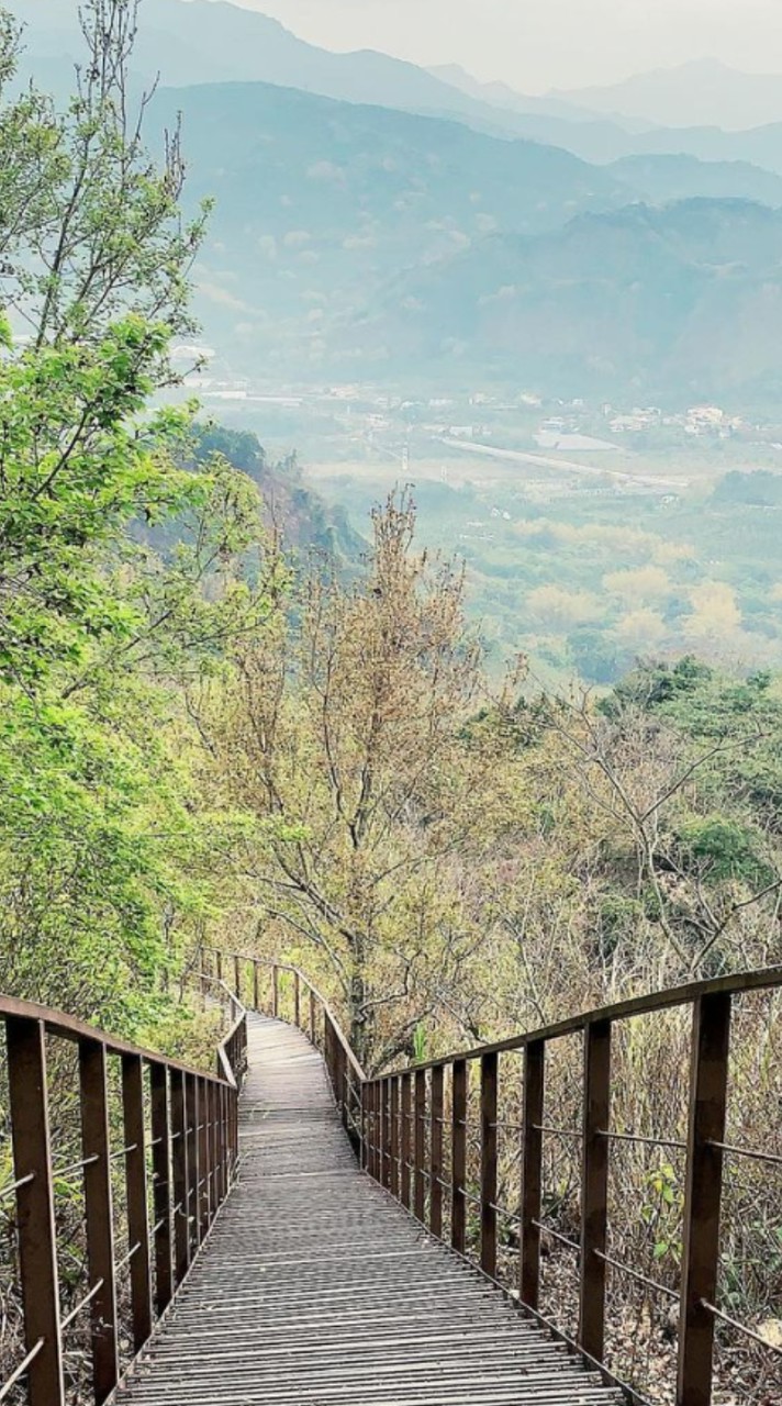 12/14星期日，九九峰森林步道｜南投草屯第一景，結合自然生態與藝術氣息的環狀森林步道