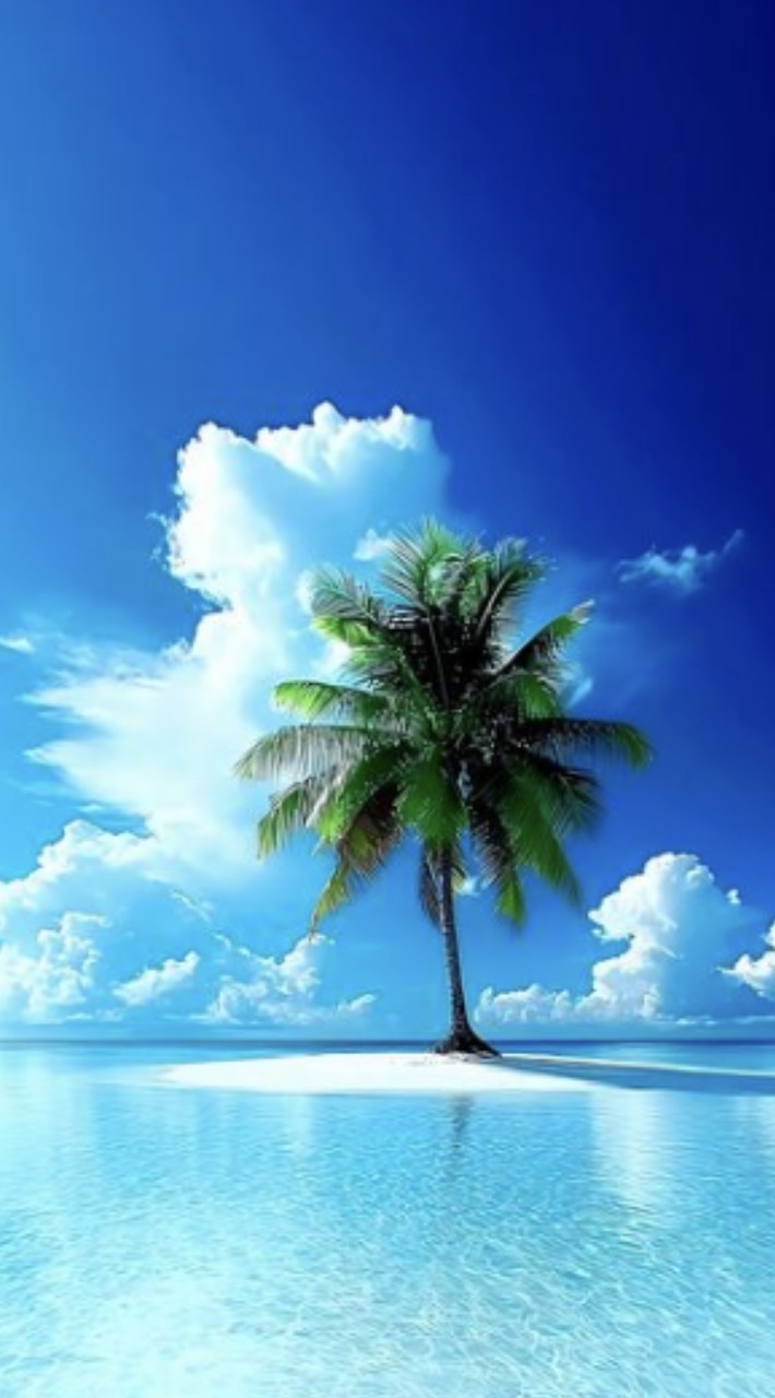 🌈還暦前後･🦄 𝑵𝒆𝒗𝒆𝒓𝒍𝒂𝒏𝒅 🏝忙しい人達の休憩所🏝