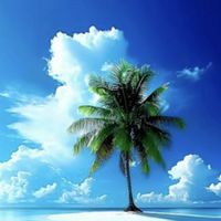🌈還暦前後･🦄 𝑵𝒆𝒗𝒆𝒓𝒍𝒂𝒏𝒅 🏝忙しい人達の休憩所🏝