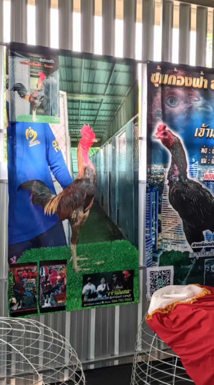 (หนีเมียมาตีไก่)-ทีมงานมาตรฐาน-