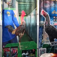(หนีเมียมาตีไก่)-ทีมงานมาตรฐาน-