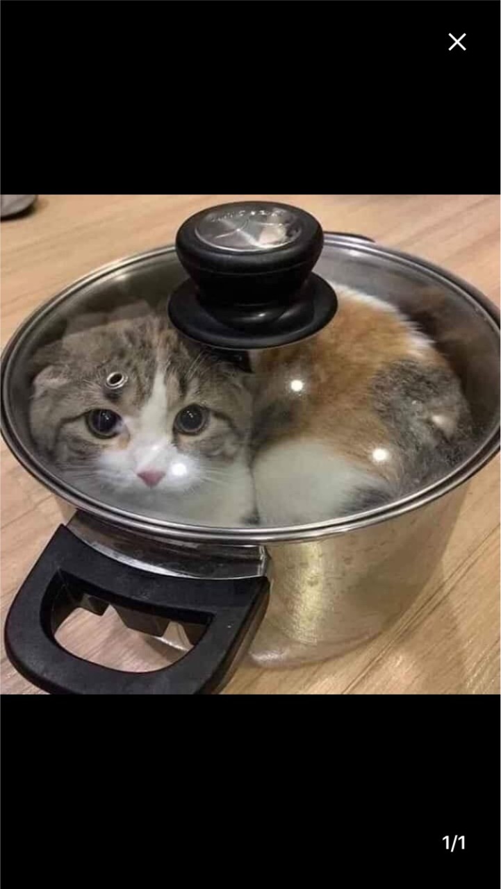 จ๋ามาจ๊ะจิงจา🔯
