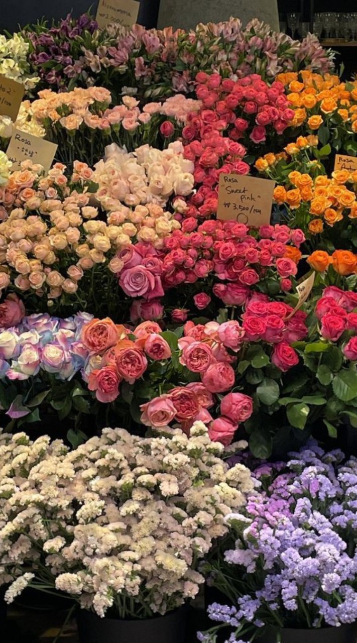 ซ้อมธงสี