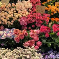 ซ้อมธงสี