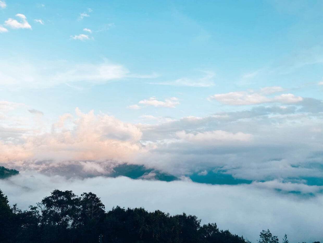 327747444 499317625651355 4299618004502523827 N