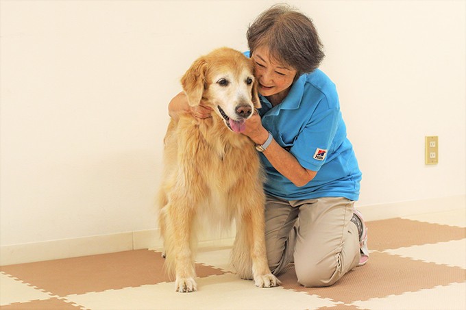 裁判で子どもを支える 付添犬 育成に主婦を導いた 愛犬たちとの出会いと別れ