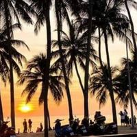 บางแสนมีไรดี