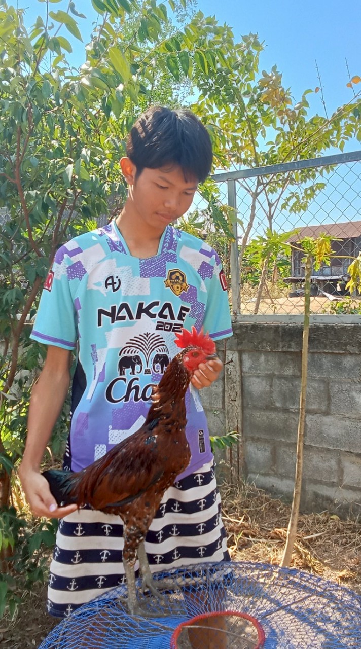 เพชรหลังสวน บุรีรัมย์