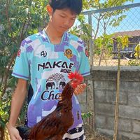 เพชรหลังสวน บุรีรัมย์
