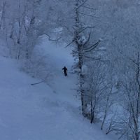 静岡フリースタイルスキーヤー集まれ！
