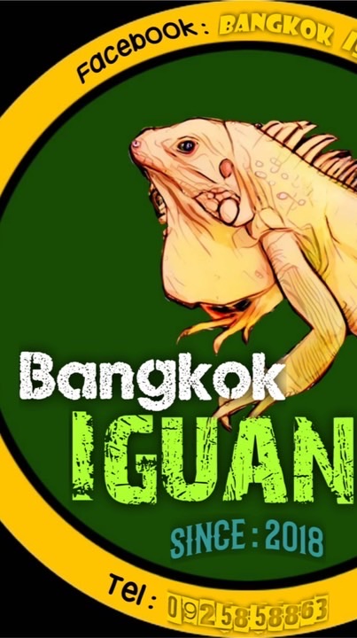 Bangkok iguana & exotic shop ประชาอุทิศ 90