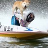 みんなで、レッツノリノリ！ボートレースおっふ競艇無料予想🚤