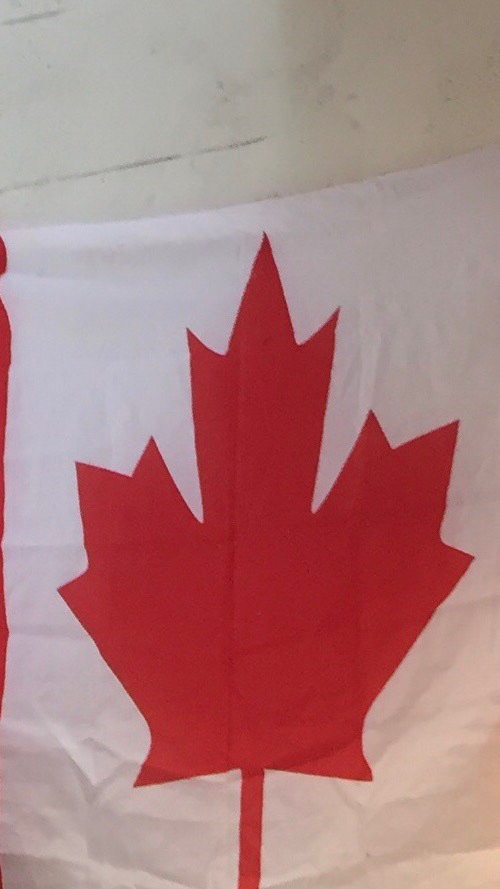 カナダ好き集まれ🇨🇦