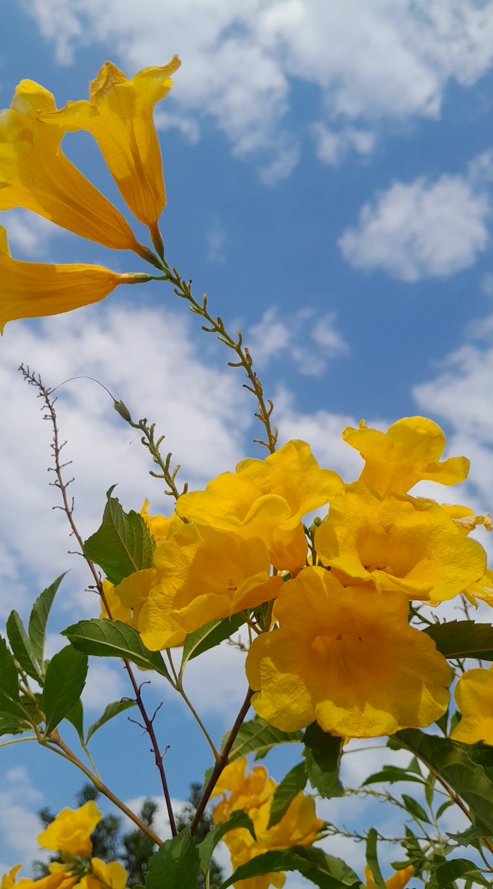 อนุบาล1/6 ปี69