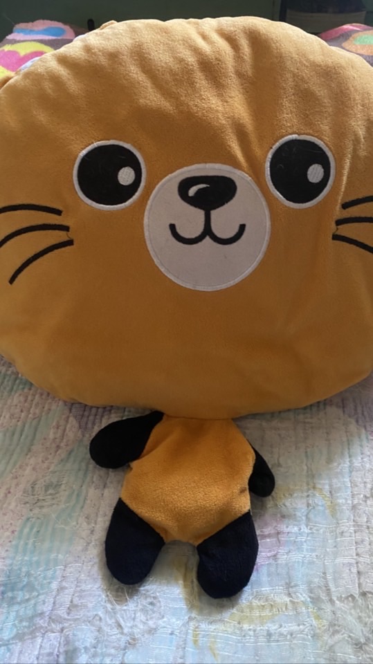 ตี๋น้อย