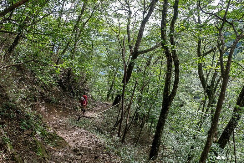 山女孩Melissa_奧多摩_雲取山-0827.jpg