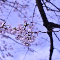 写真館