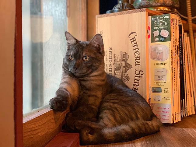 圖片提供／2730café 貳柒參零咖啡