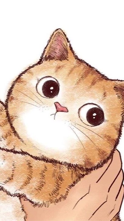貓貓愛精油💋