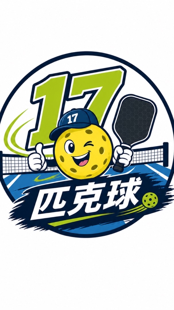 17匹克球