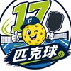 17匹克球