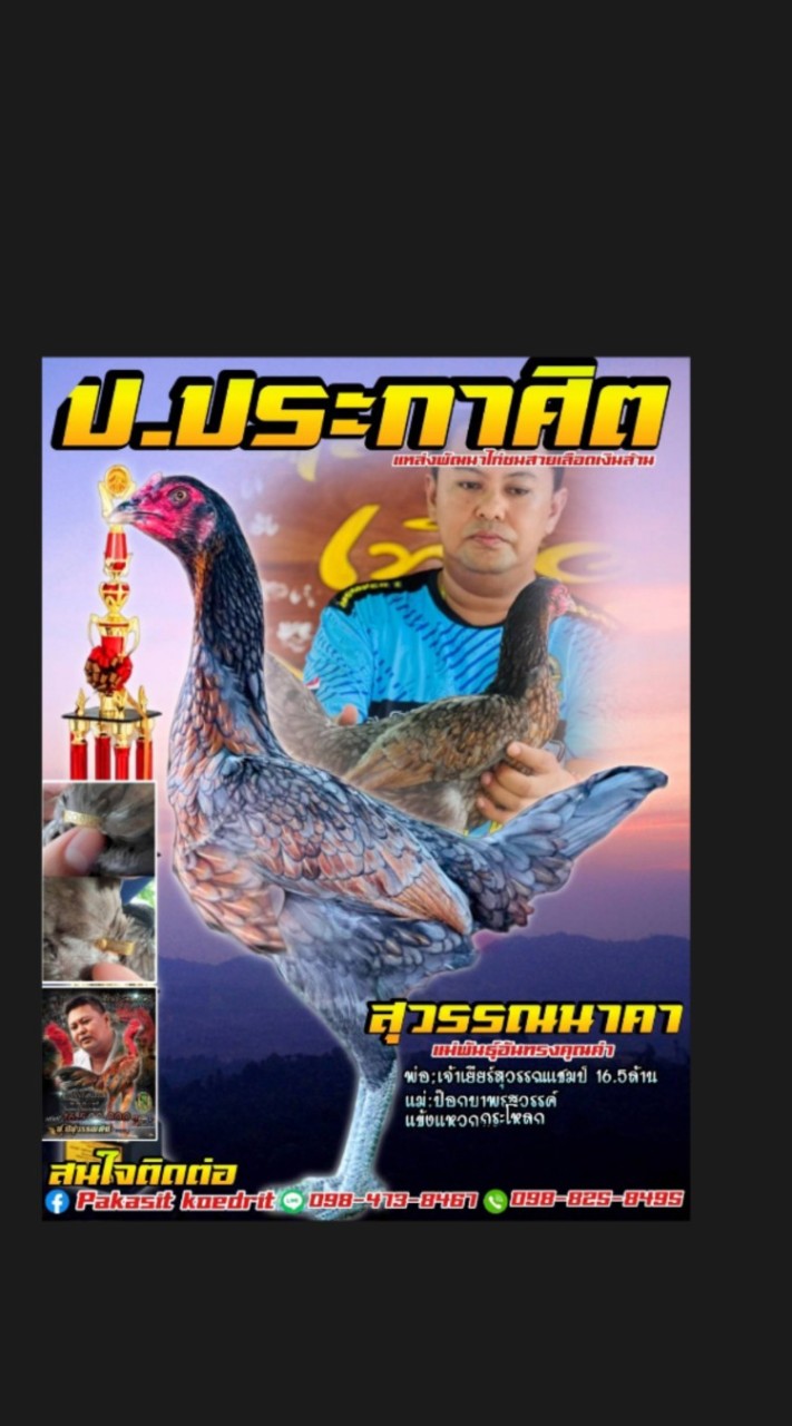 ป.ประกาศิตฟาร์ม