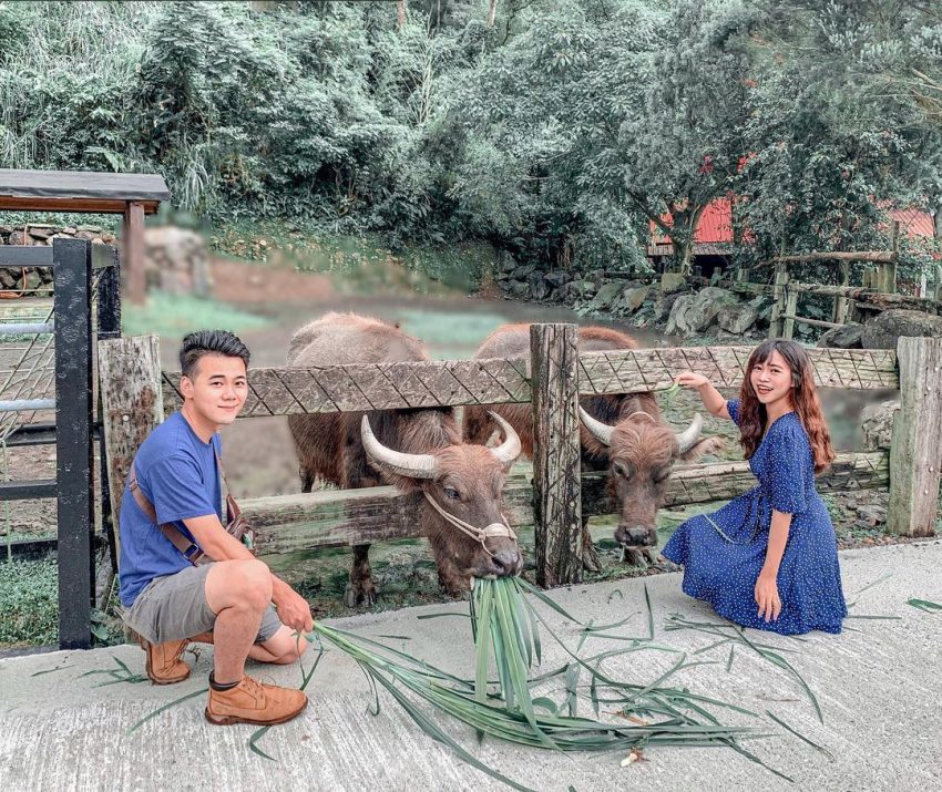 宜蘭三天兩夜 頭城農場 農村動物園