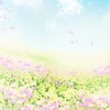 🌸ハナハナ🌻
