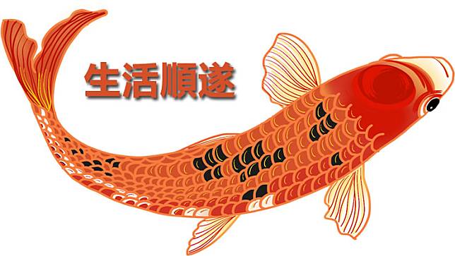 2021 辛 辛 魚