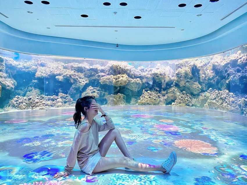 桃園青埔Xpark水族館 