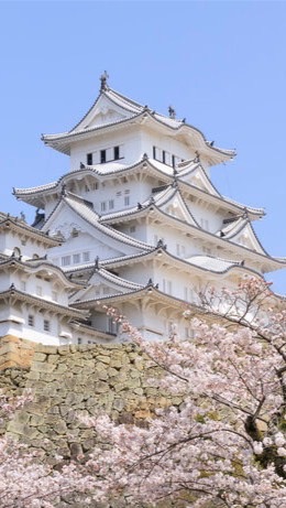 Hyogo Corse
