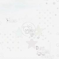 ⋆˚꩜｡ code am by paopie🪼