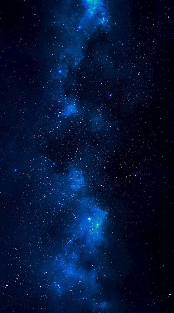 每日每夜我們都在摸魚上班