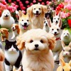 自慢のワンコ🐕ニャンコ🐈アニマル🪿写真館 🐾2