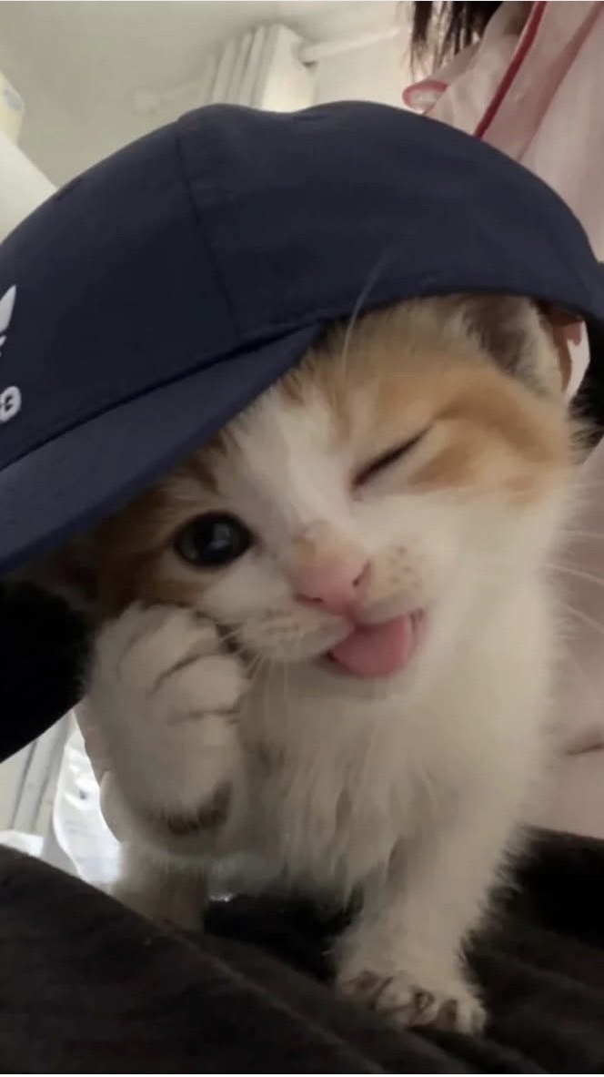 身内オプ