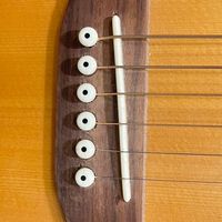 Music fun(音樂樂趣)楊文德