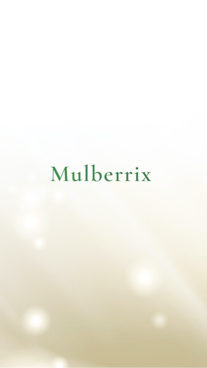 Mulberrix Partner