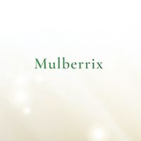 Mulberrix Partner