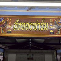🐓ถังทองฟาร์ม ไก่ชน🐓