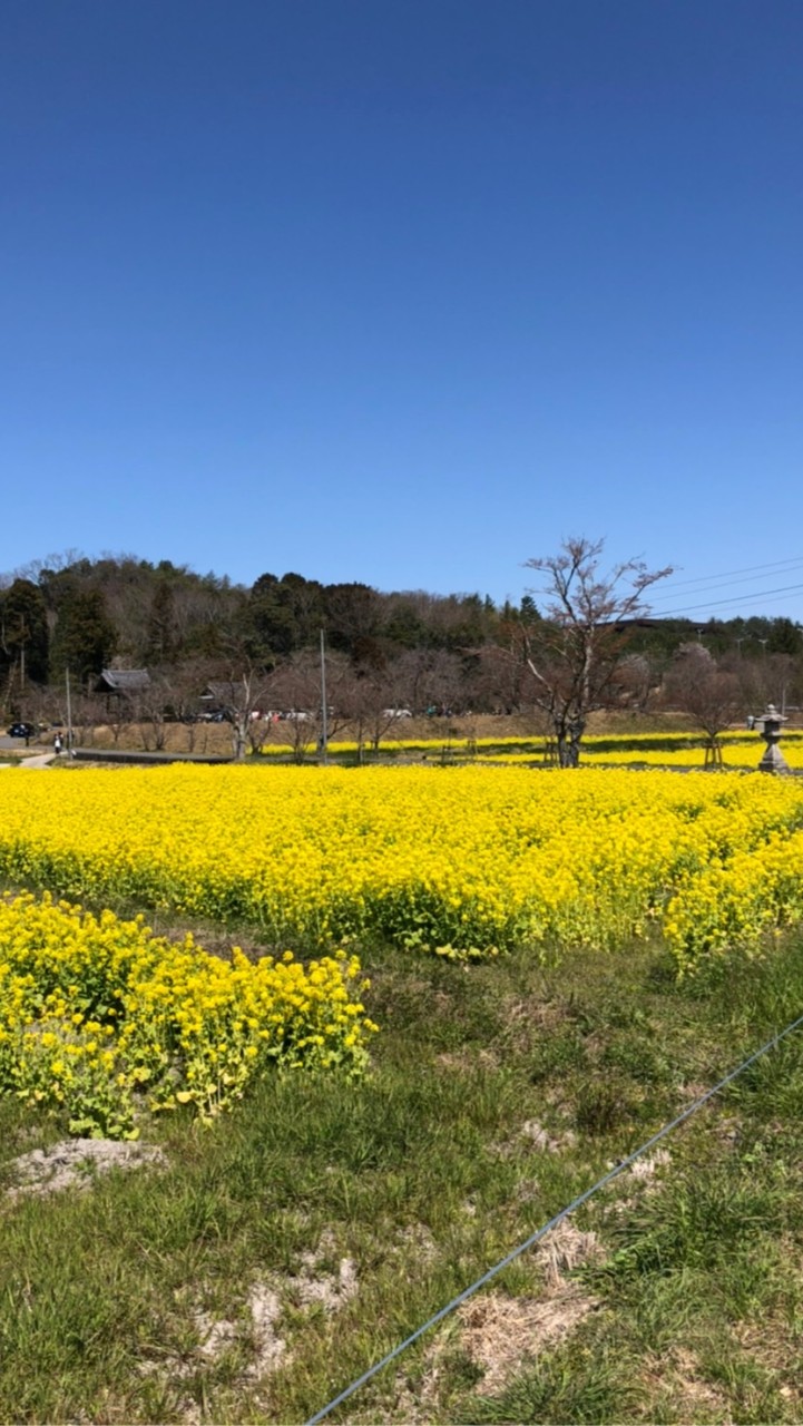 京都×介護職☆★雑談・情報交換