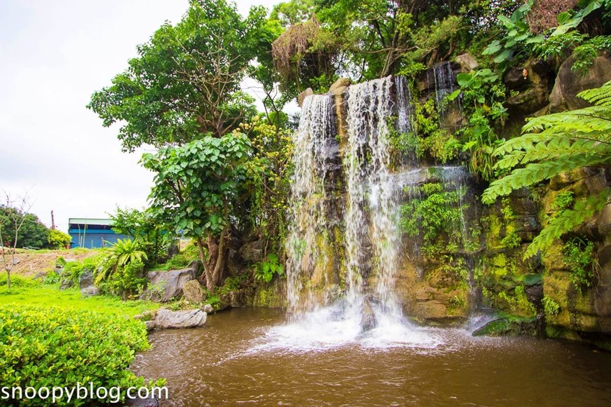 新北人放空首選！五股區６處私房景點：農場內「瀑布祕境」、森林磨石子滑梯